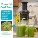 RoboTouch iSqeez Slow Juicer - Image 2